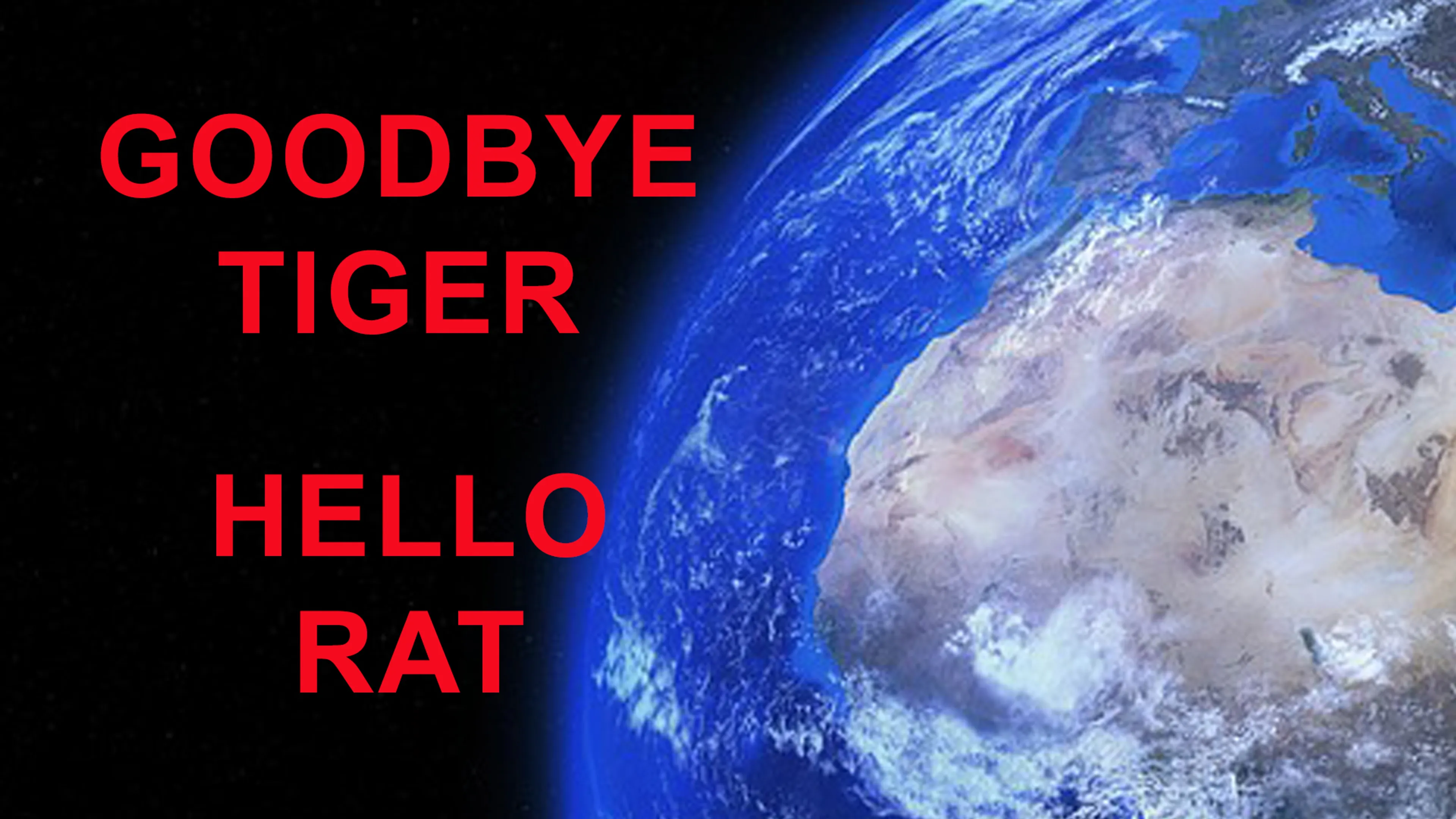 Goodbye Tiger Hello Rat poster